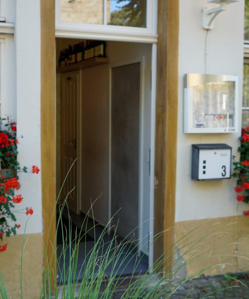 DSC00550